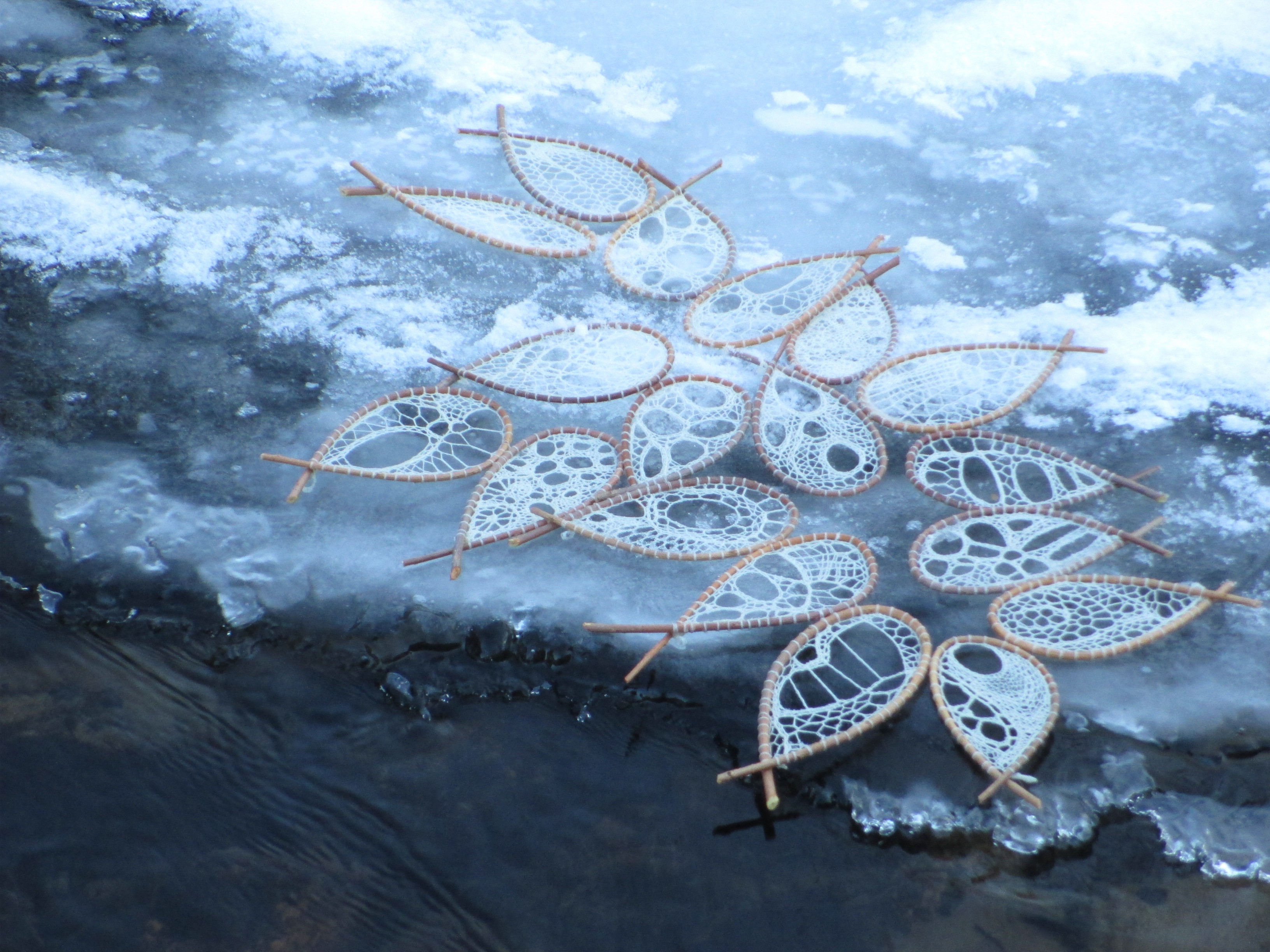 Shoal on ice by Donna Kallner
