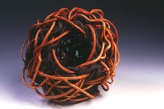 Well Rooted by Doris Messick