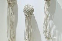 Jellies-3