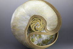 Best-Nautilus